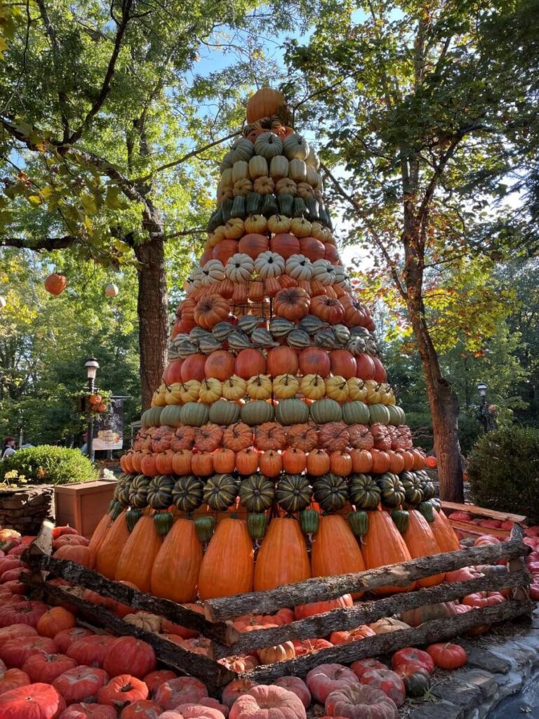 Tree made of pumpkins at Silver Dollar City's Harvest Festival